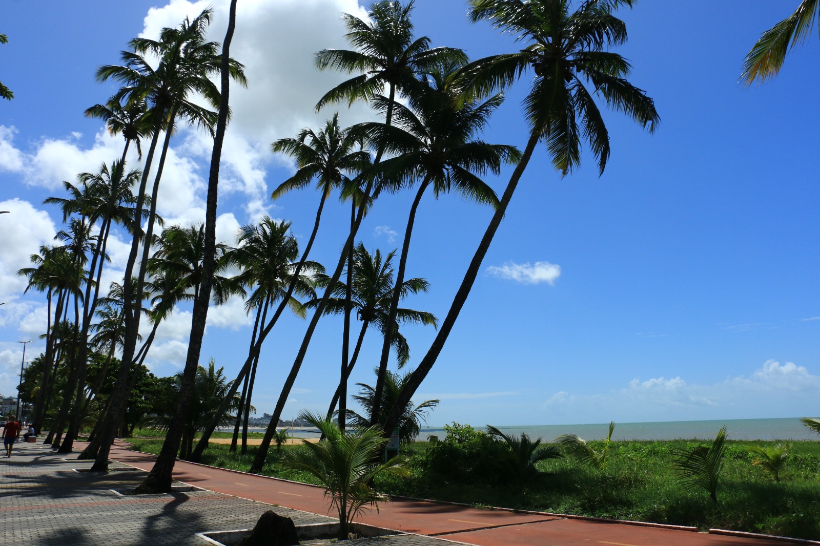 WhatsApp Image 2025-10-24 at 08.59.31.jpeg